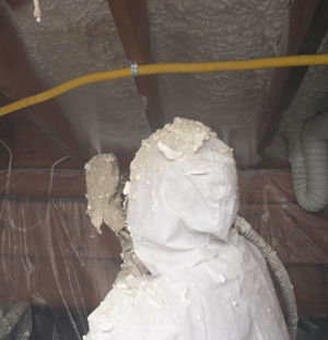 Mobile AL crawl space insulation